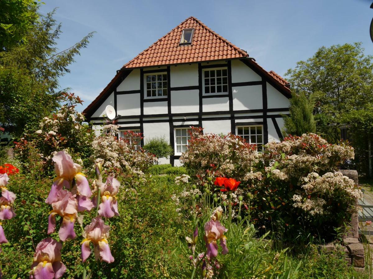 Ferienwohnung Weserblick Polle Eksteriør bilde
